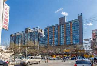 山东排气过滤器哪家好